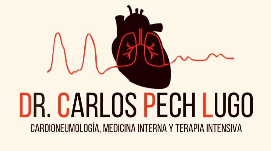 Carlos Joaquín Pech Lugo-0