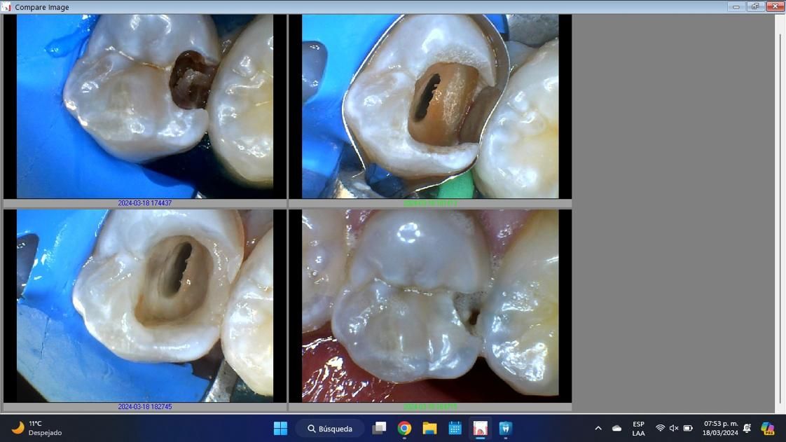 Anais Lazaro Filigrana-2