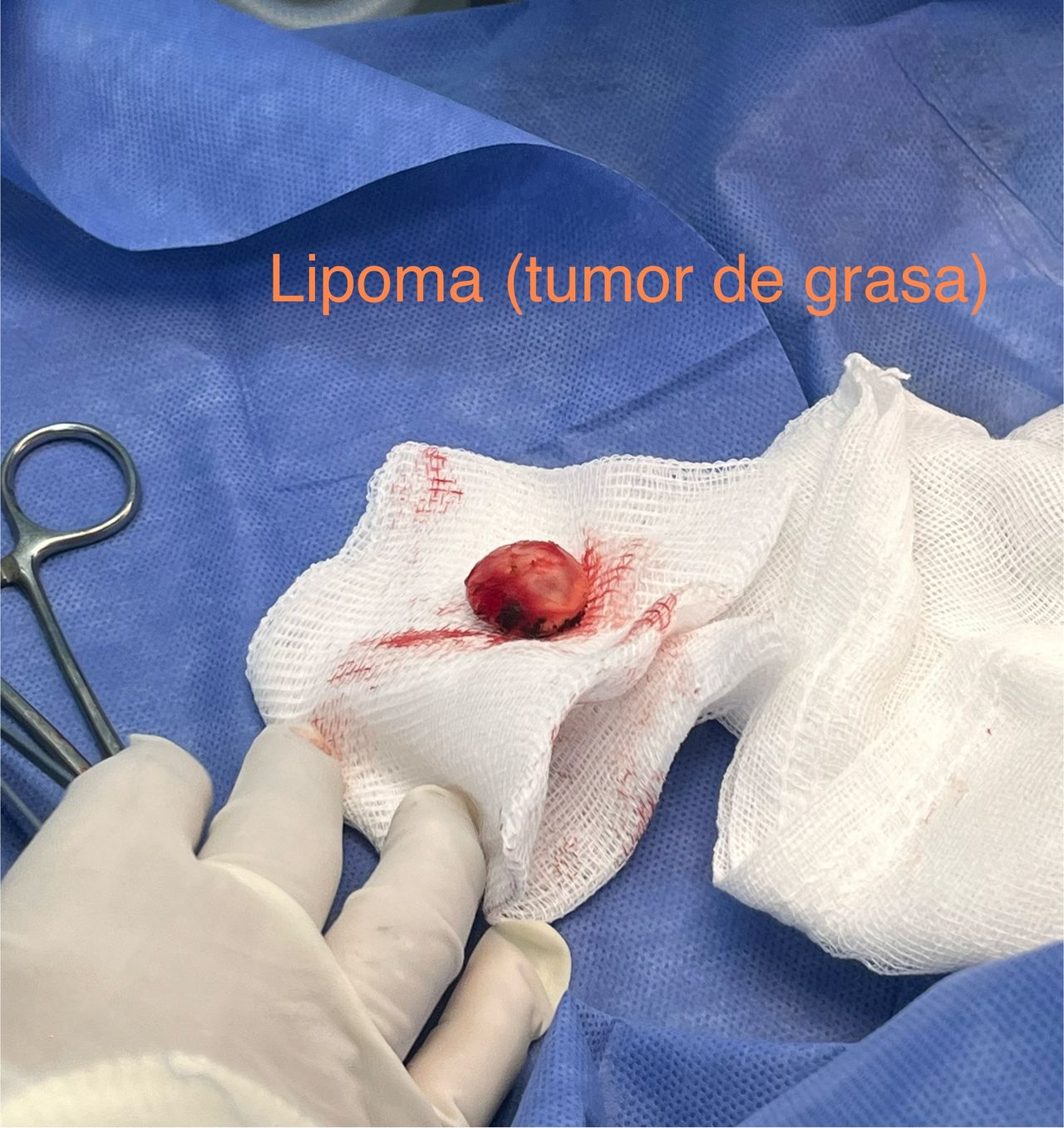 Héctor Gerardo Luján Vargas-19