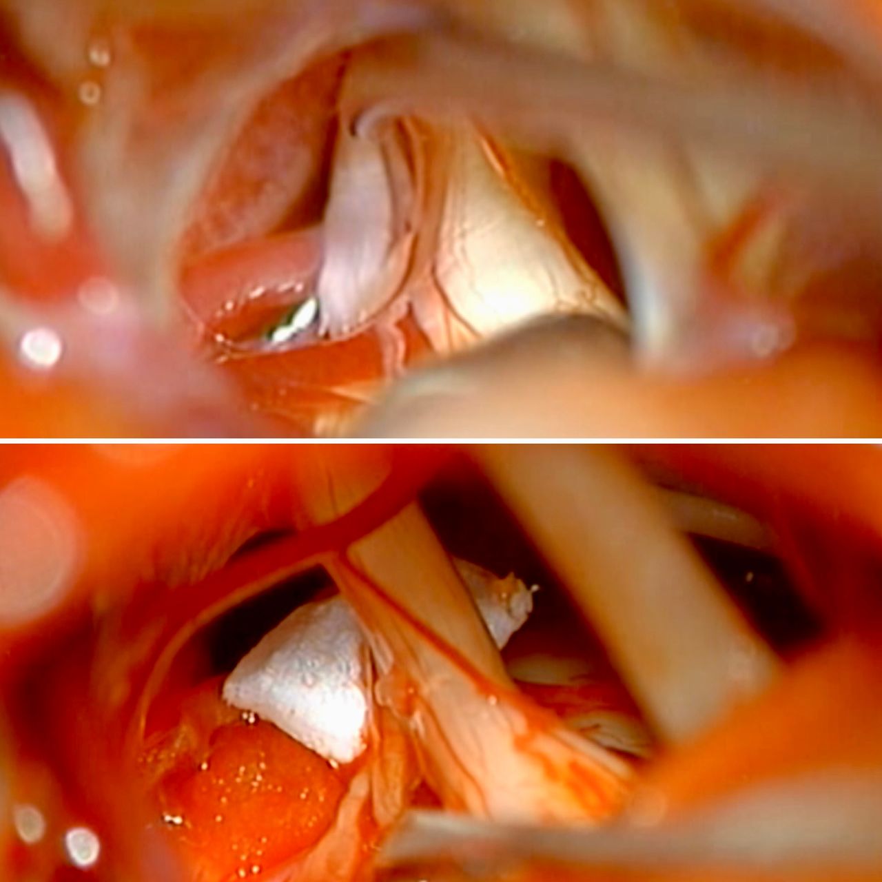 Gustavo De Jesús Parra Romero-19