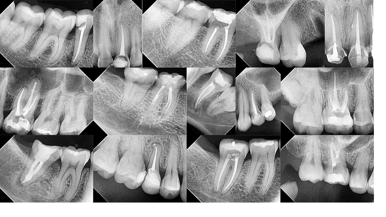 David Eduardo Torrecillas Toledo-2