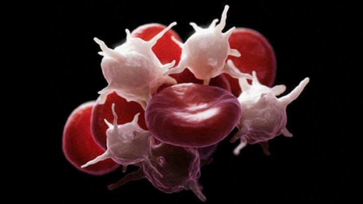 Víctor Pérez Hernández-3