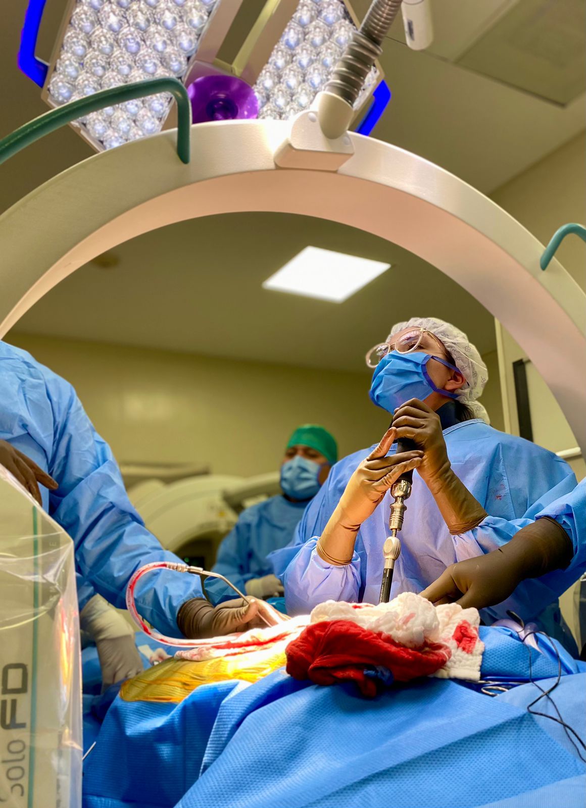 Cynthia Elena  Gallardo Gutierrez-5