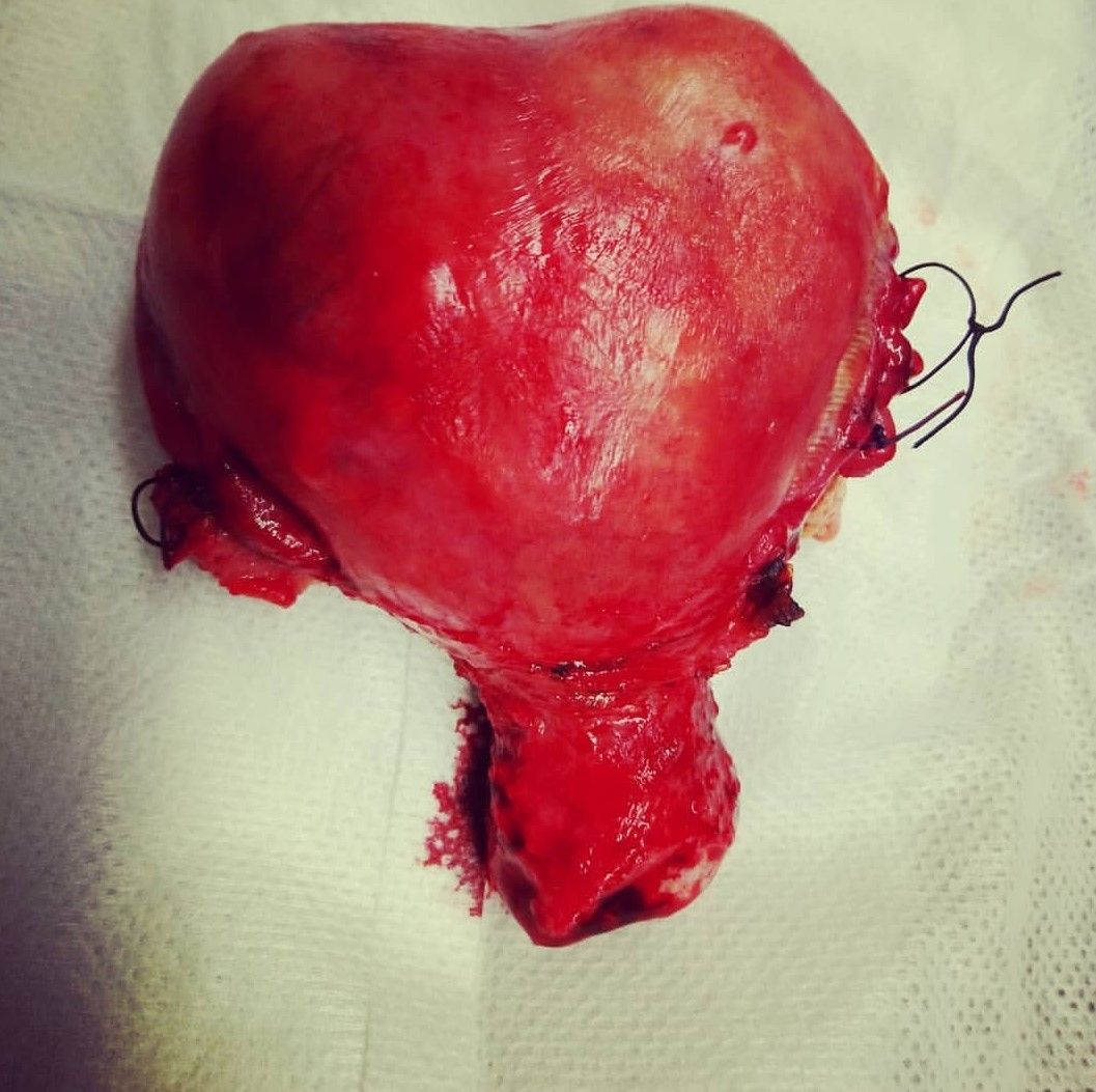 Sandra Cruz Rayón-0