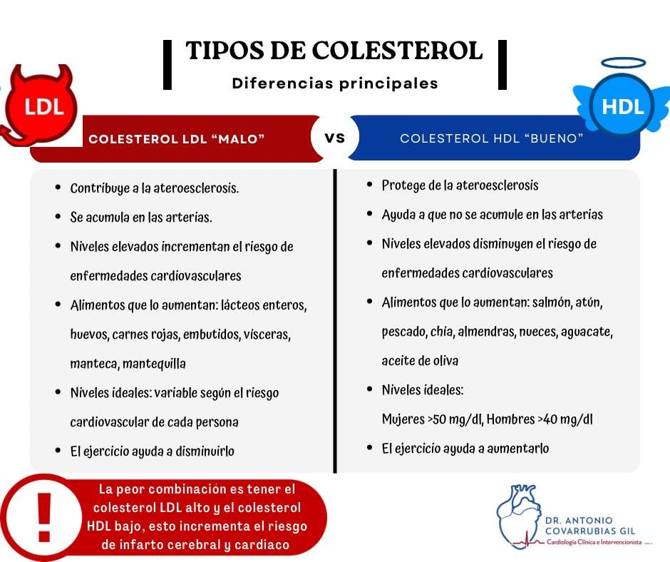 Antonio Covarrubias Gil-15