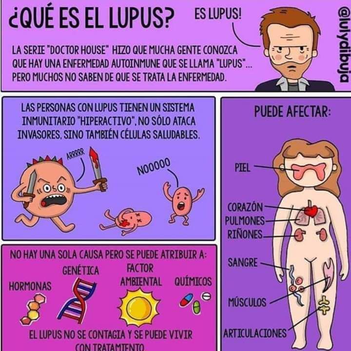 Andrés Noé Rodríguez García-59