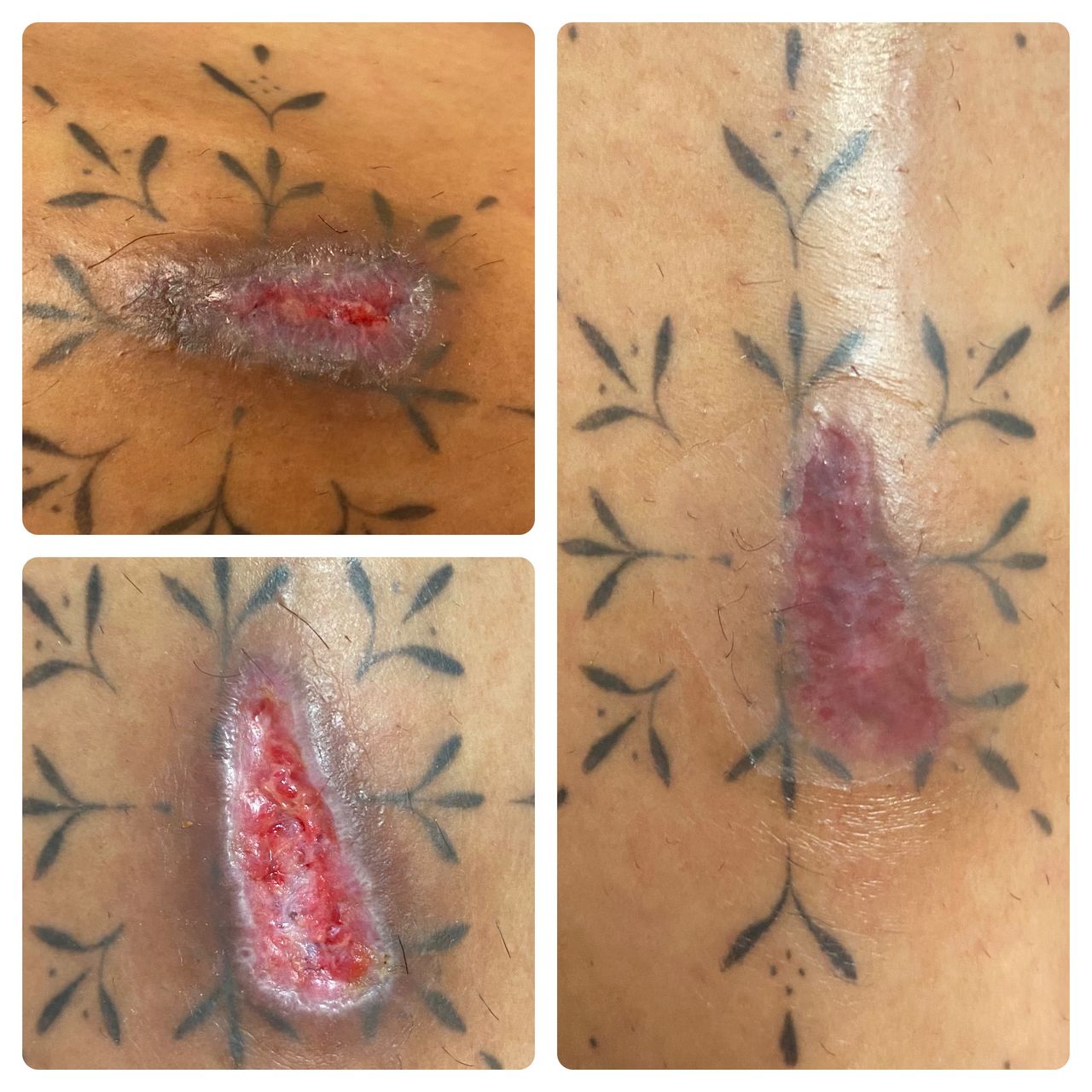 Susana Contreras Reyes-4