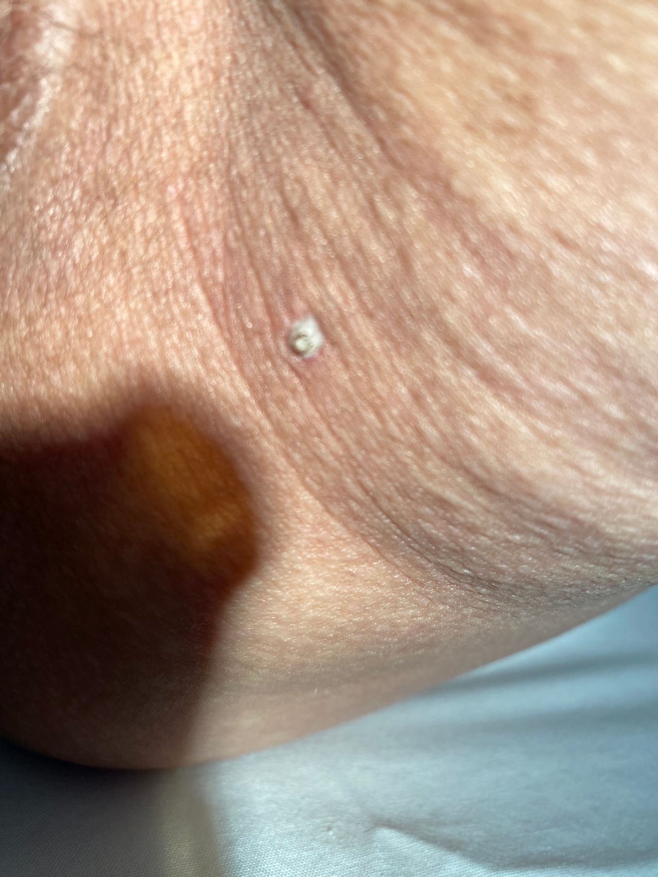 Lilia Gutierrez Franco-2