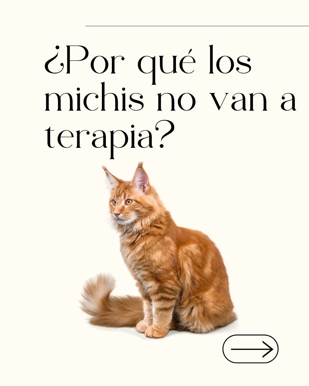 Lilia Carrillo Ugalde-2