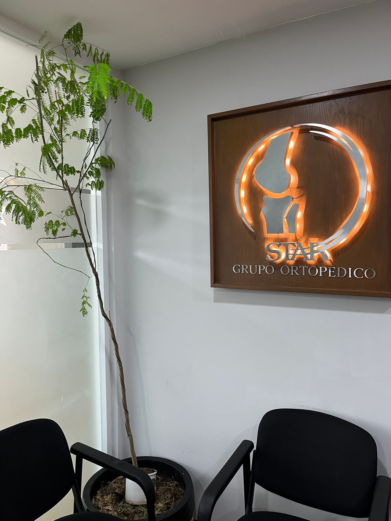 Fabiola Oropeza Bonfanti-10