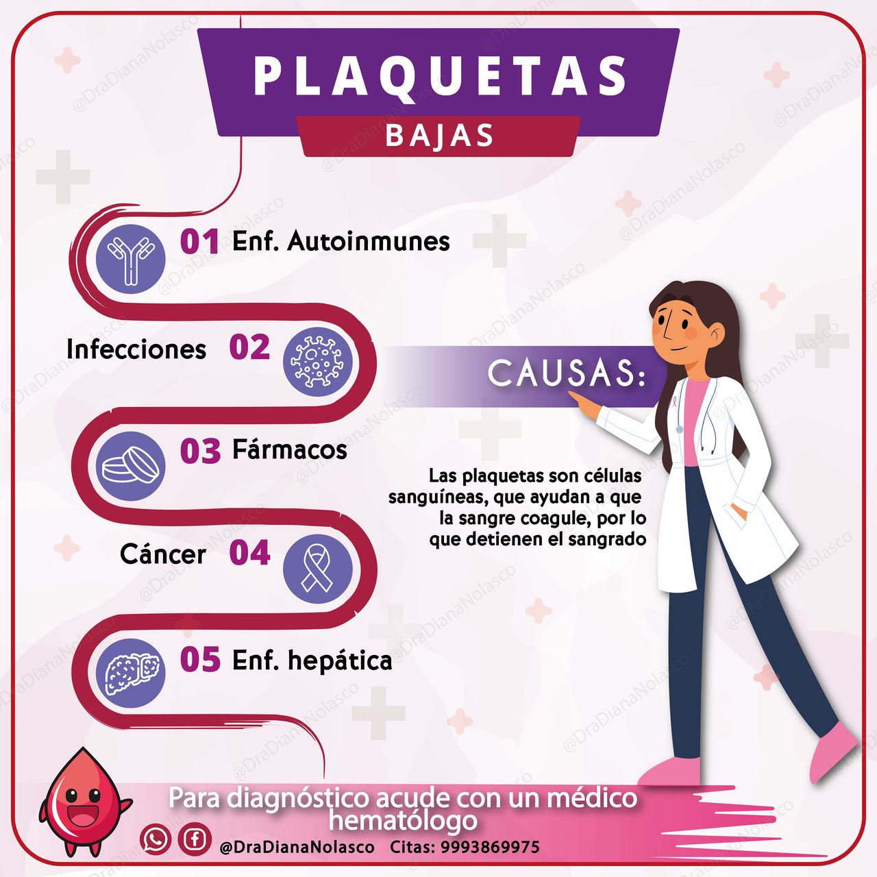 Diana Nolasco Medina-12