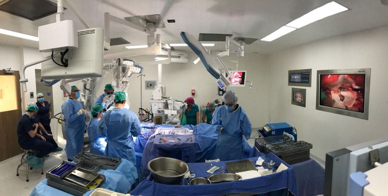 Luis Alberto Ortega Porcayo-5