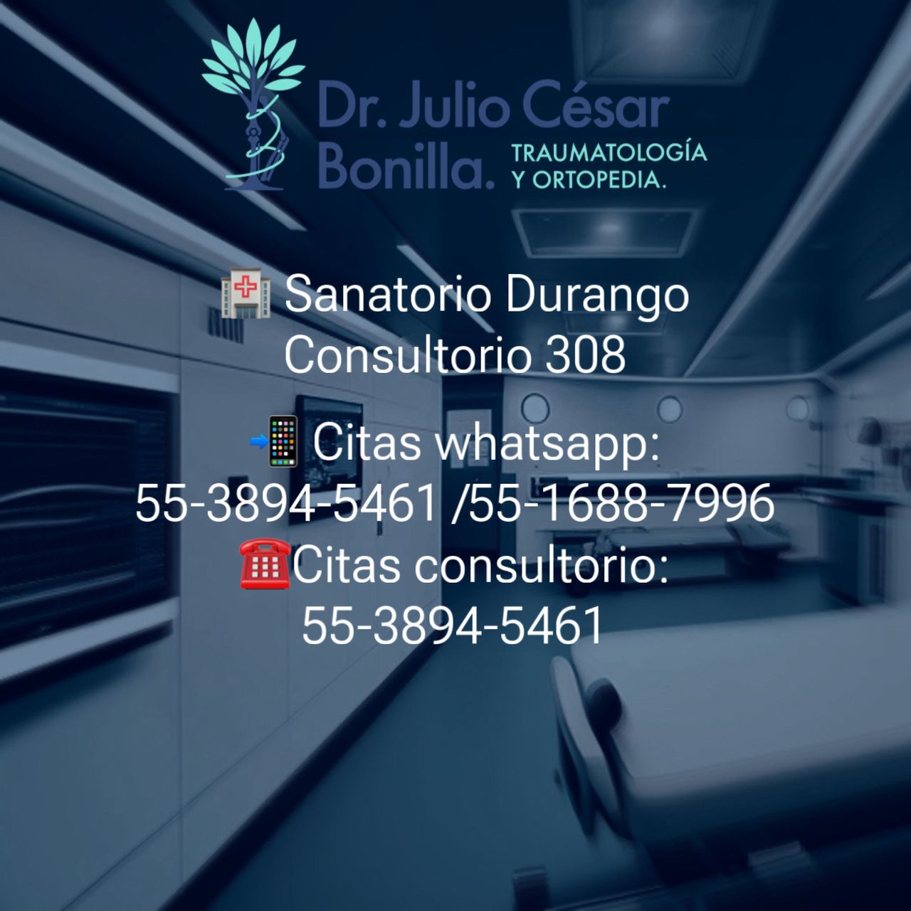 Julio César Bonilla Rodríguez-19