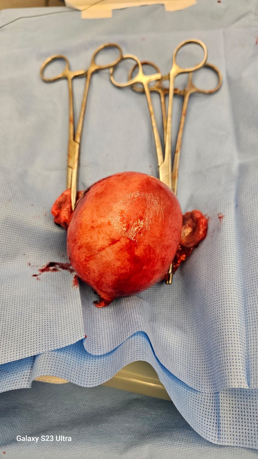 Abraham Ignacio Pérez De La Rosa-19