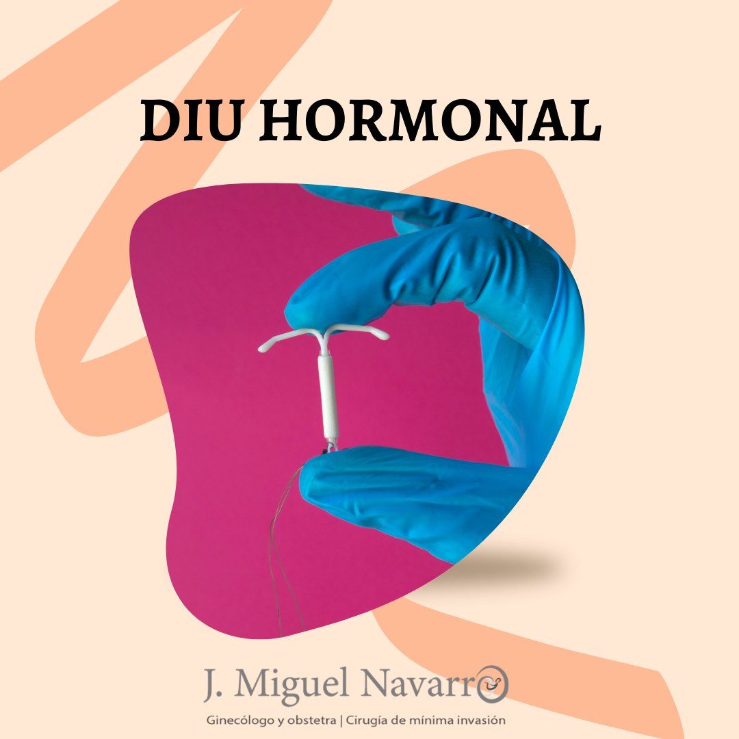 José Miguel Navarro Martín-6