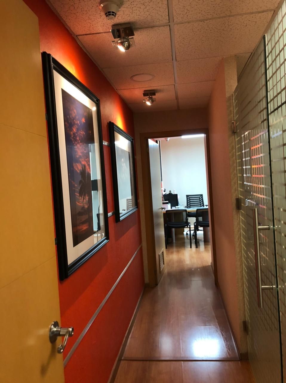 María Guadalupe Ortíz Salazar-5