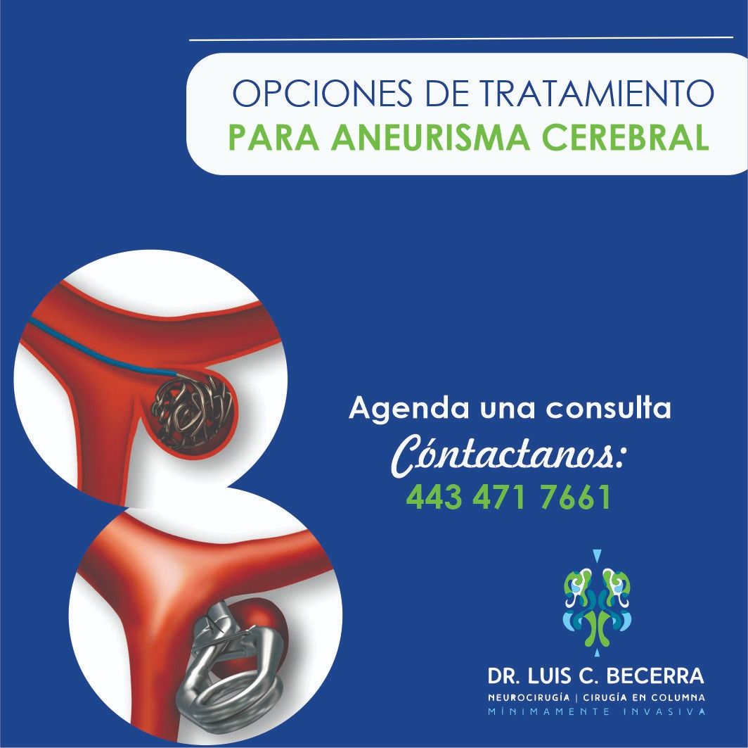 Luis C Becerra-12