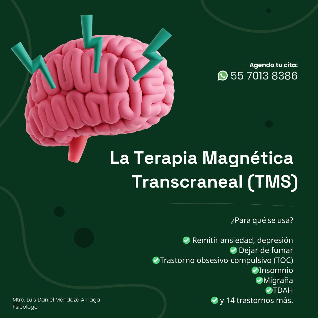 Luis Daniel Mendoza Arriaga-0