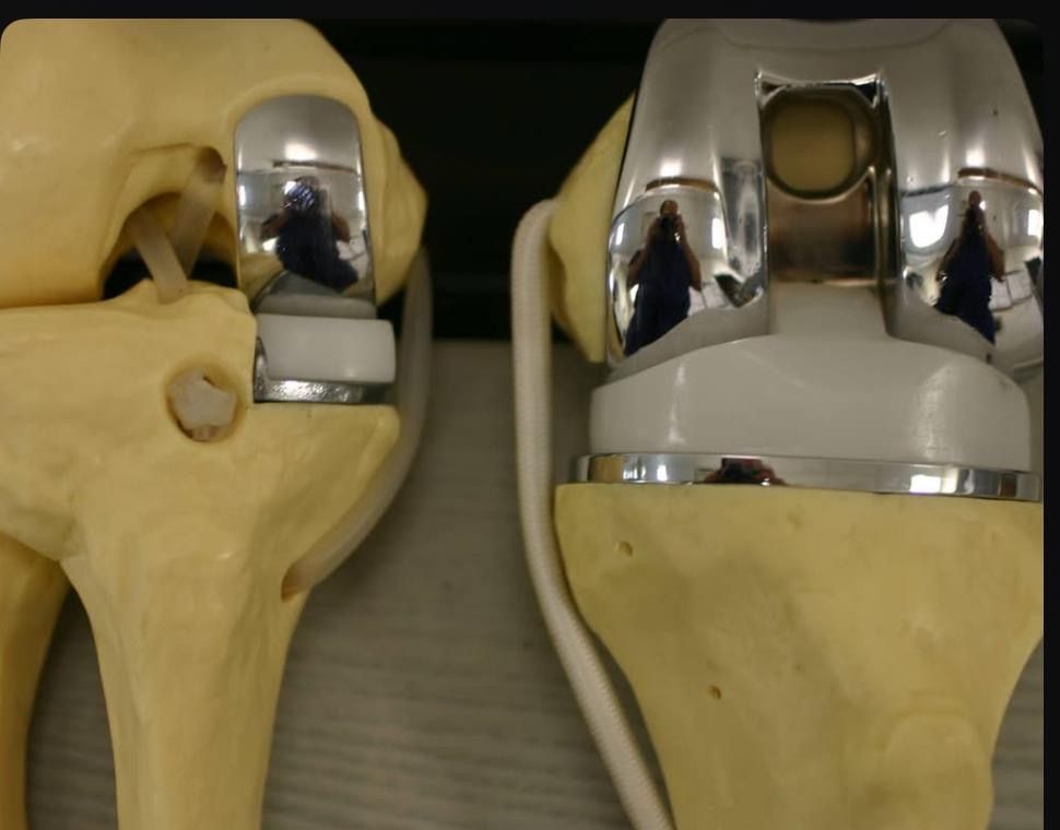 Juan Carlos Treviño Rivas-17