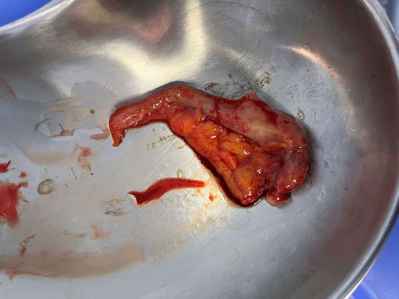 Héctor Gerardo Luján Vargas-11