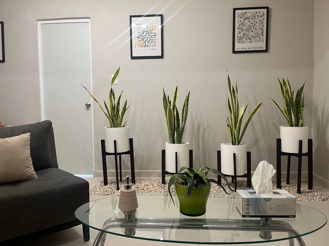 Zulema T. Gonzalez Arceo-1