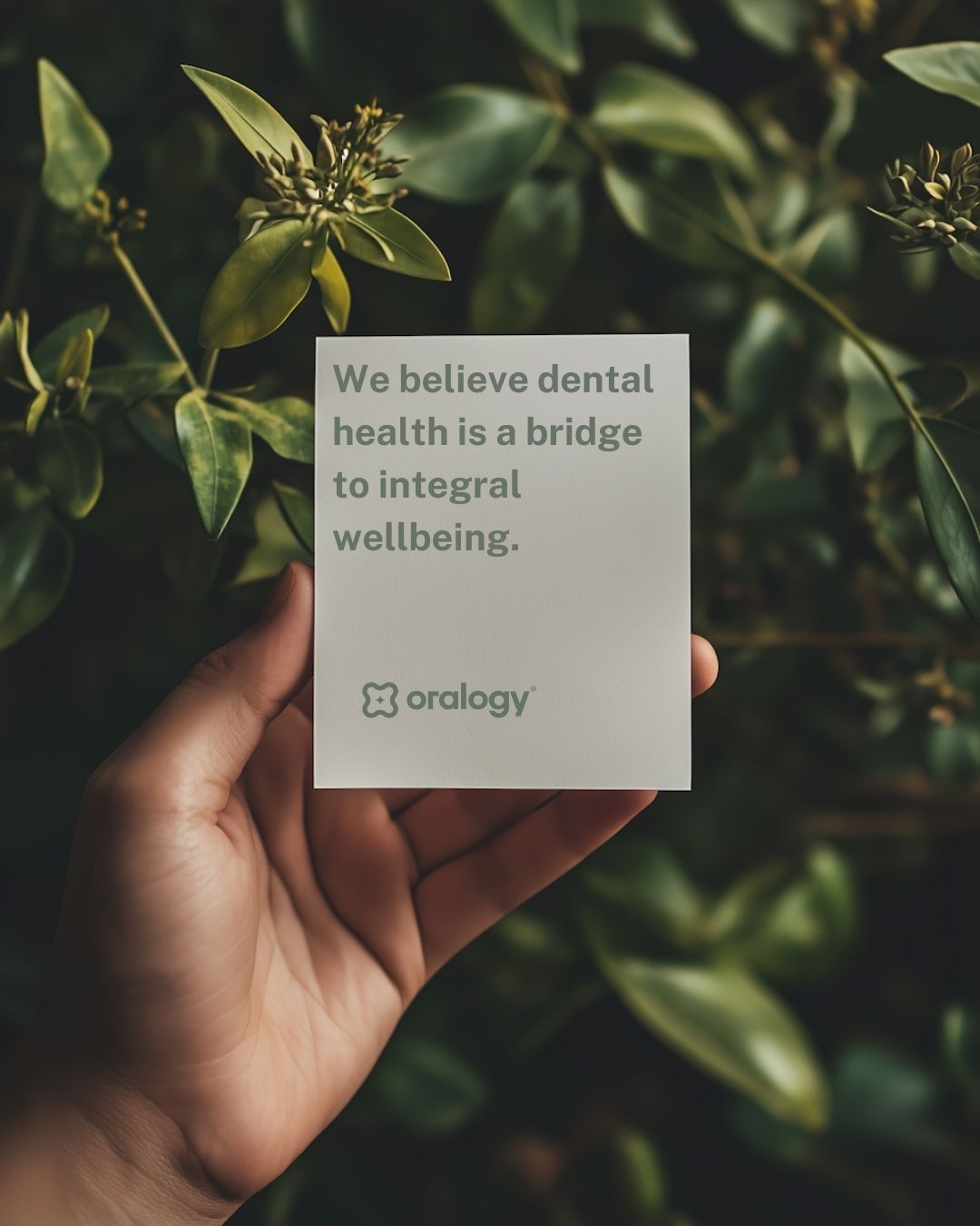 Valeria Trejo Ascencio-2