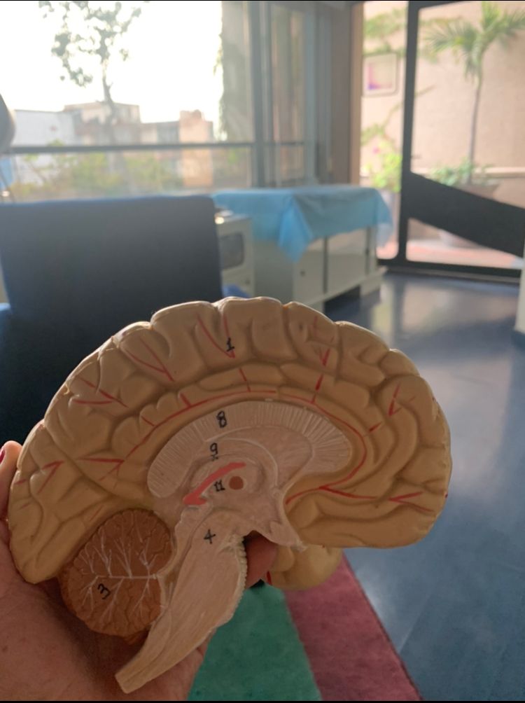 Ingrid Romero Sánchez-3