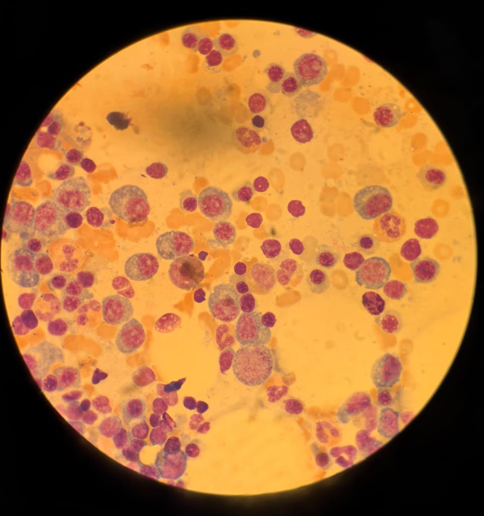 Emmanuel Martinez M.-3