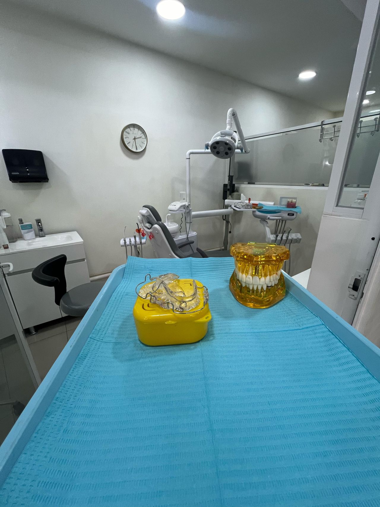 Luz Elena Carrera Luna-5