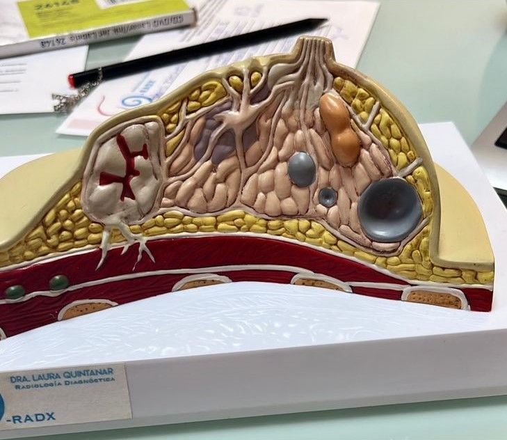 Laura Judith Quintanar Lugo-16