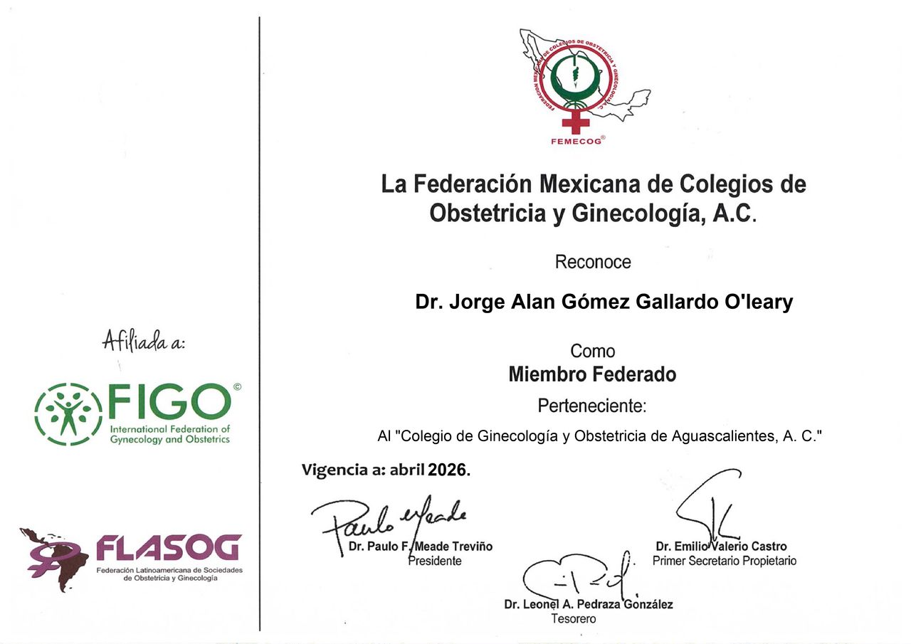 Jorge Alan Gómez Gallardo O'leary-6