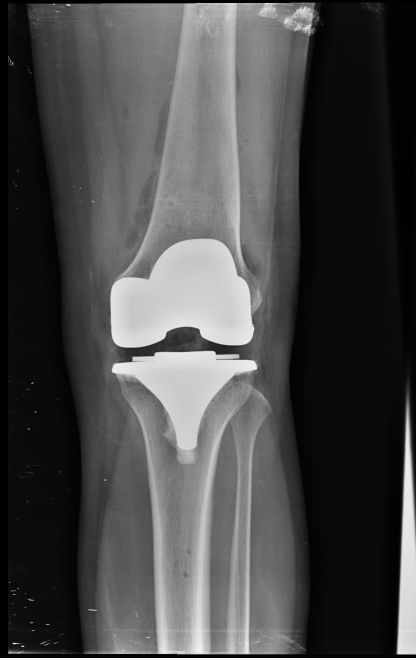 Francisco Javier Gómez Torres-5