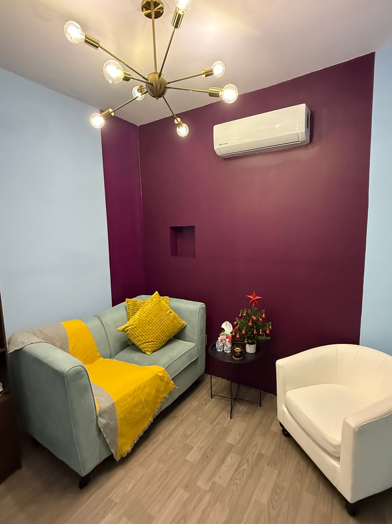 Antonio Junior Ibarra Salas-0