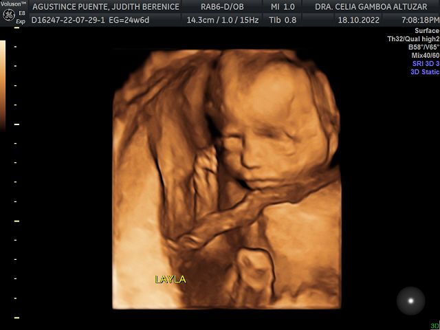 Celia Ivonne Gamboa Altúzar-8