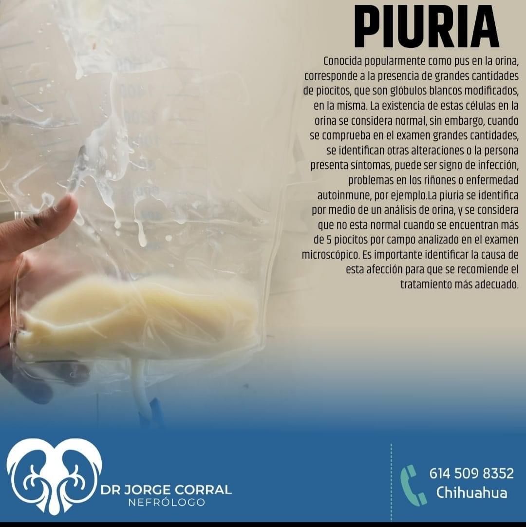 Jorge Luis Corral Villalba-15