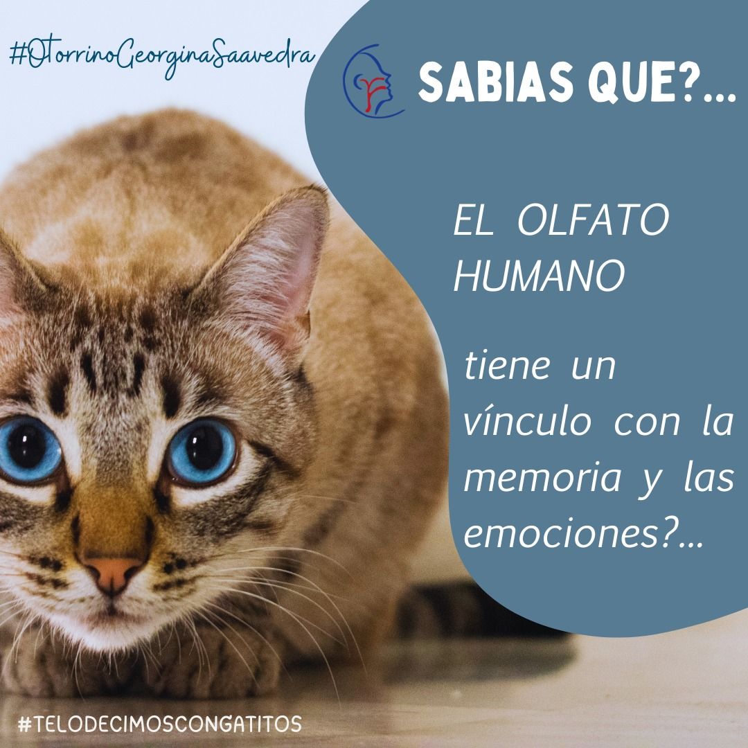 Georgina Saavedra Hernandez-5