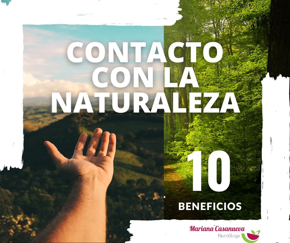 Mariana Casanueva-15