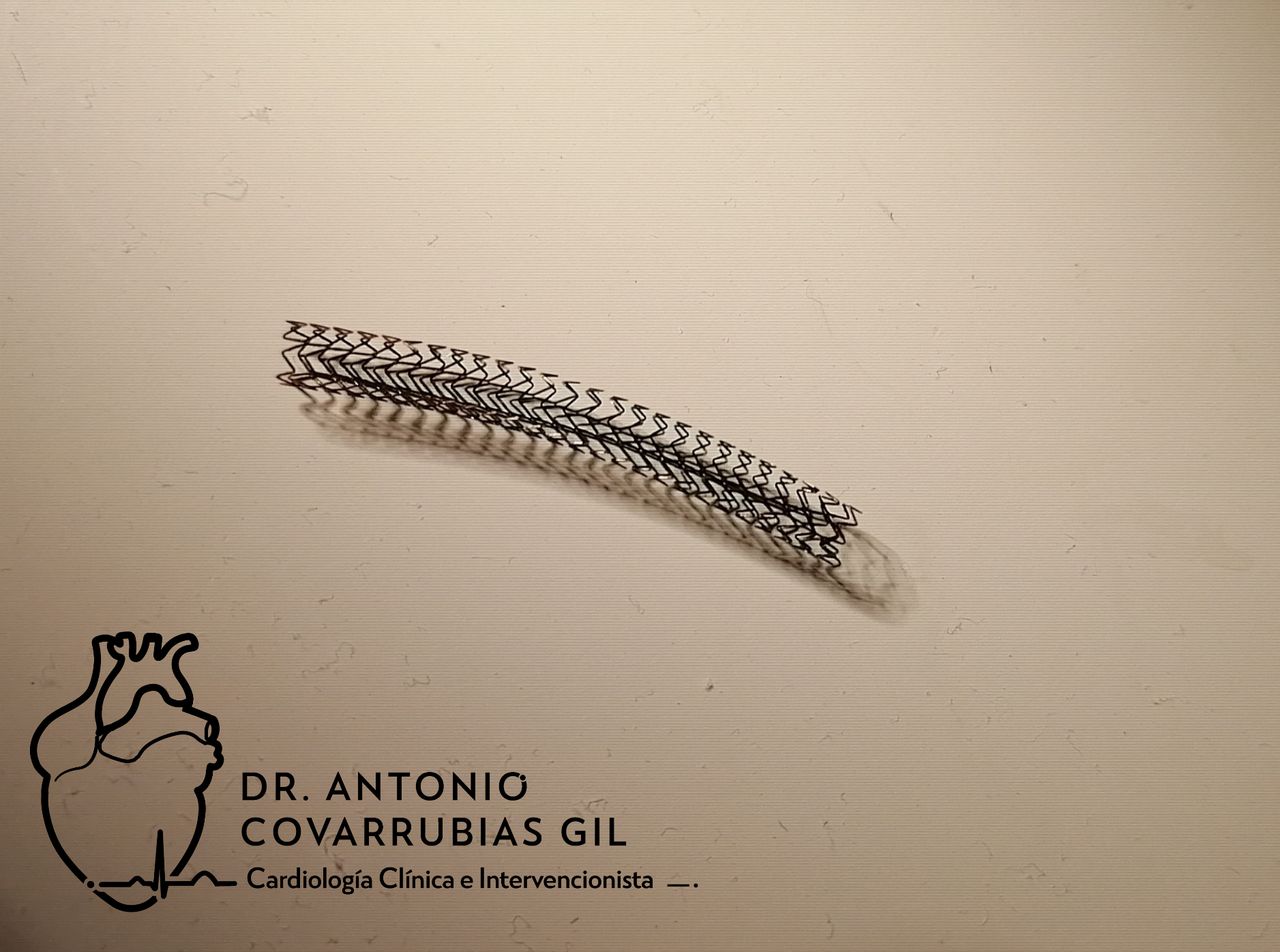 Antonio Covarrubias Gil-32