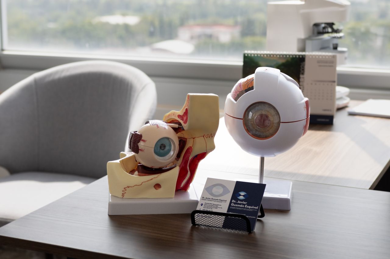 Javier Guzmán Esquivel-15