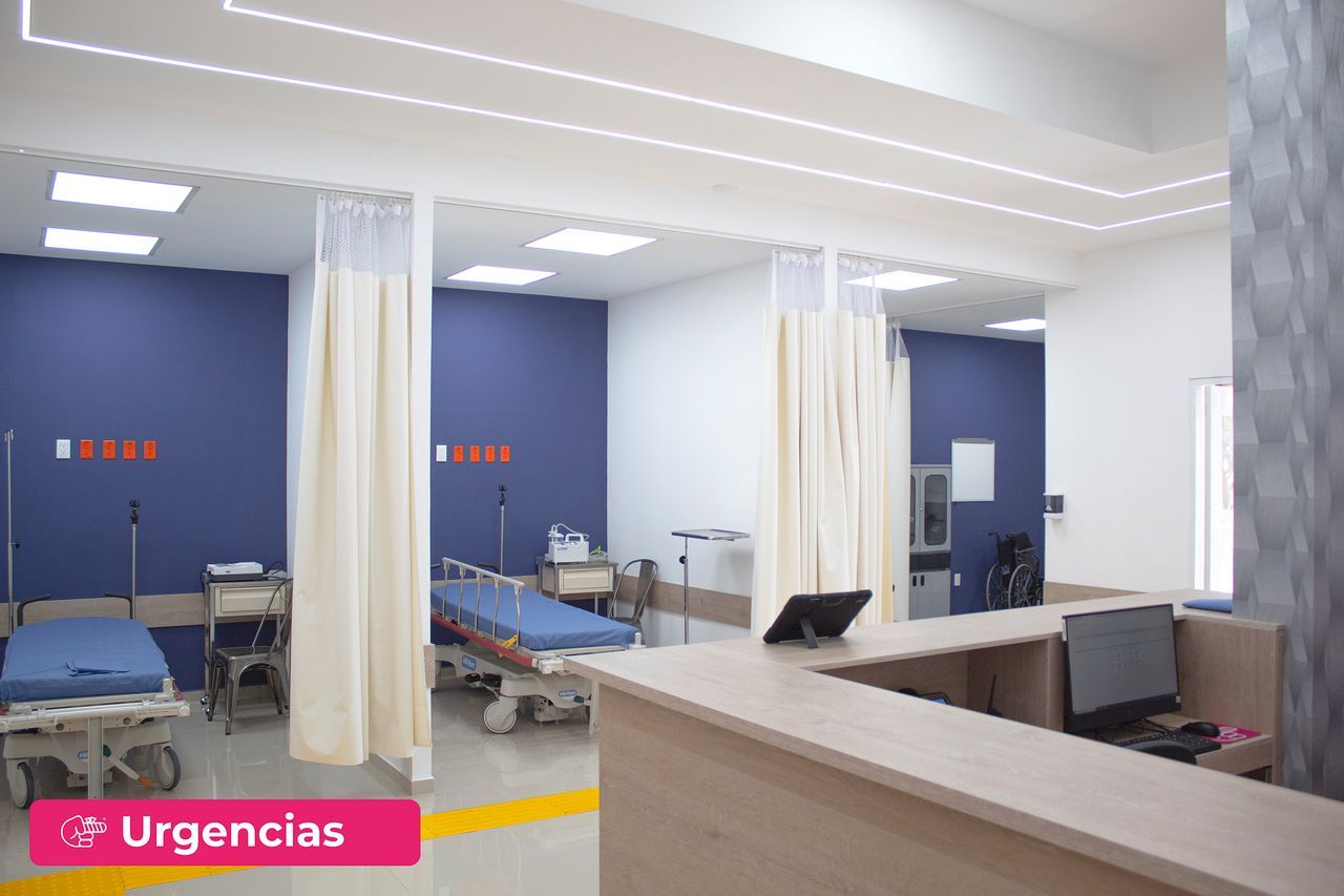 Aselo Sanchez Cortes-10