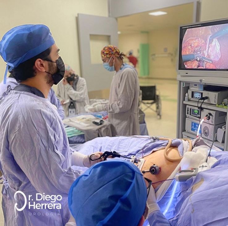 Diego Alberto Herrera Gómez-10