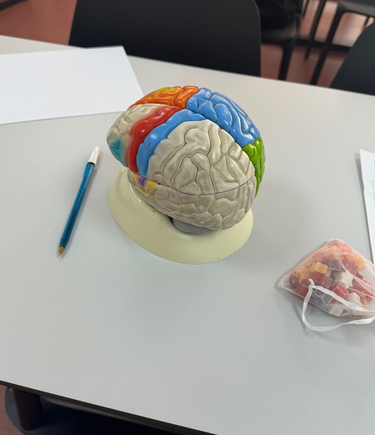 Brianda Paola Rodríguez Palomino-1