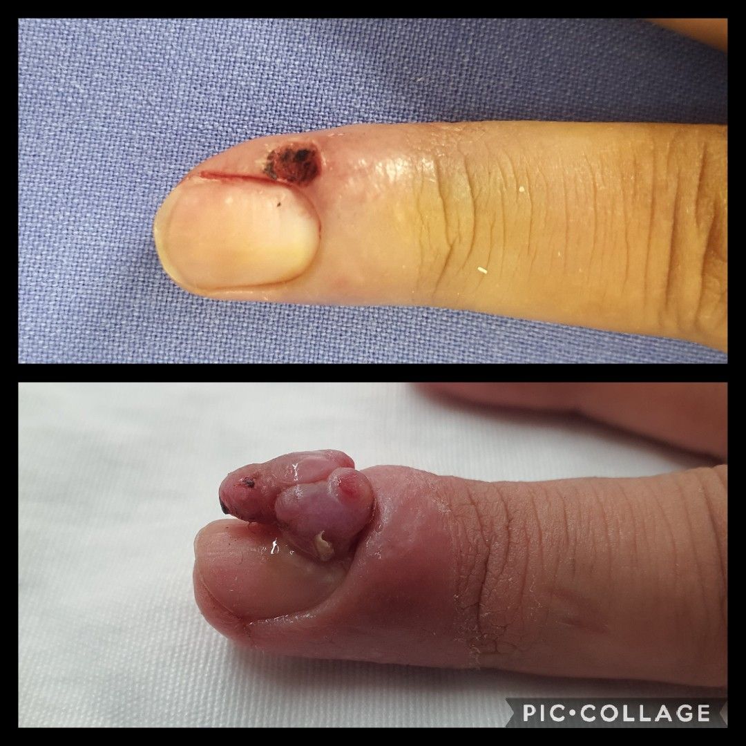 Diana Durón Vázquez-2