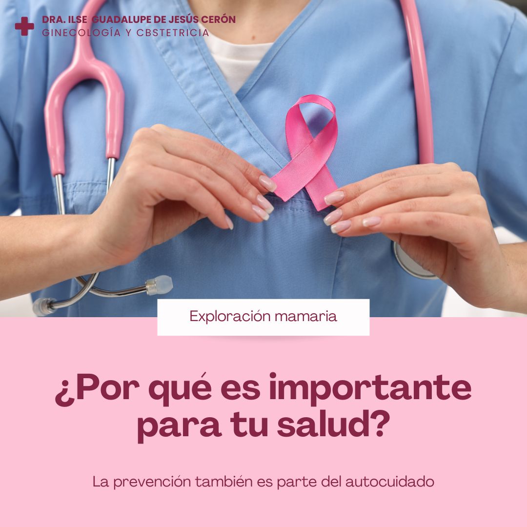 Ilse Guadalupe De Jesús Ceron-4
