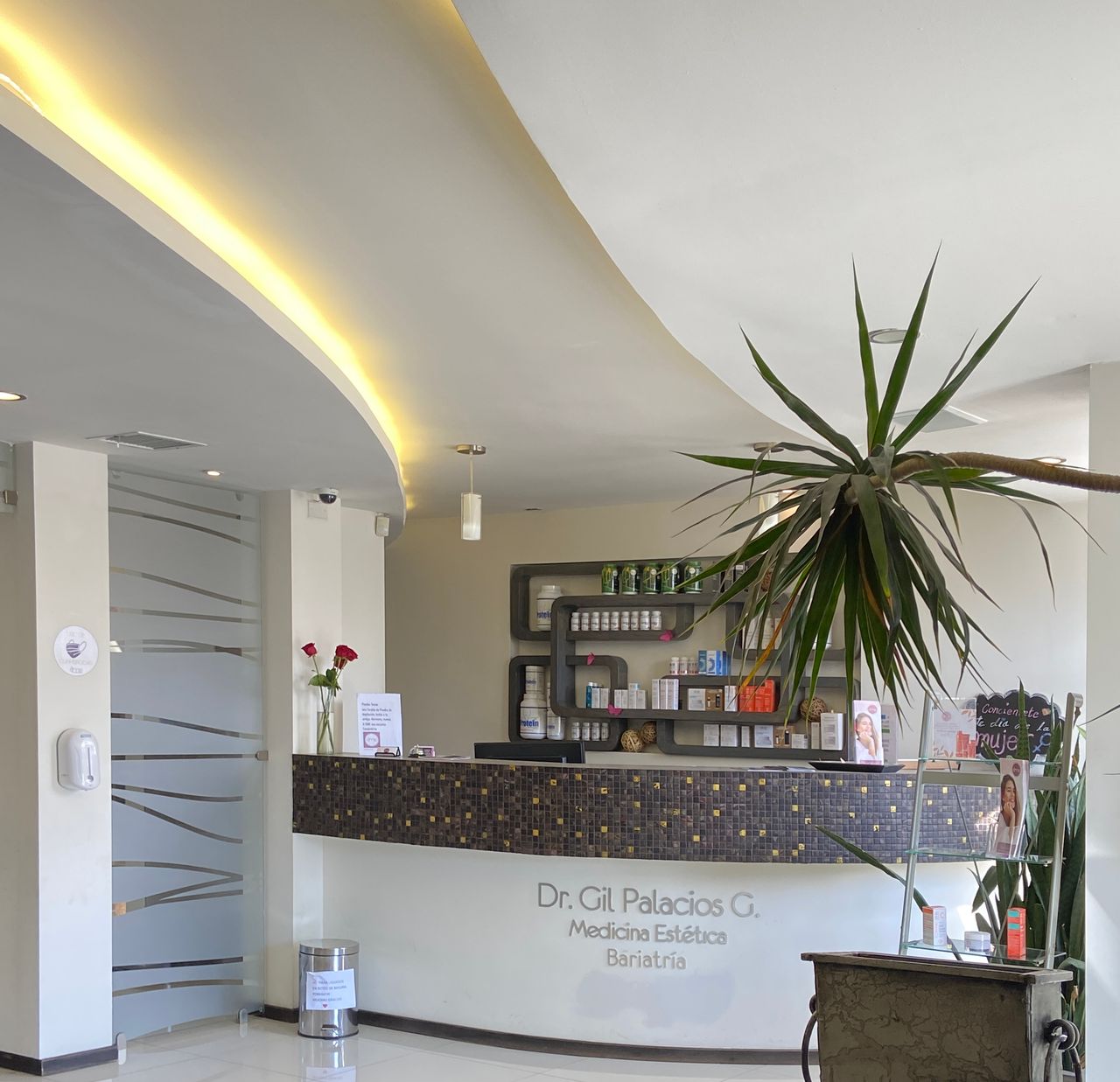 José Gil Palacios Gamboa-1