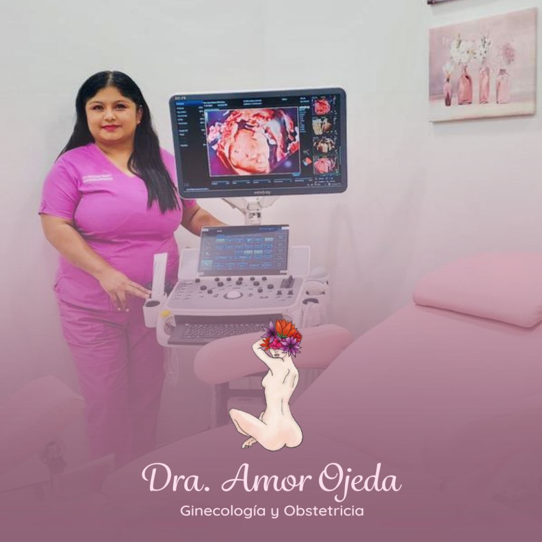 Alma Amor Ojeda Villalobos-2