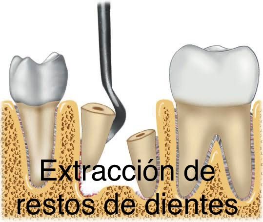 Wendy Sánchez P.-18