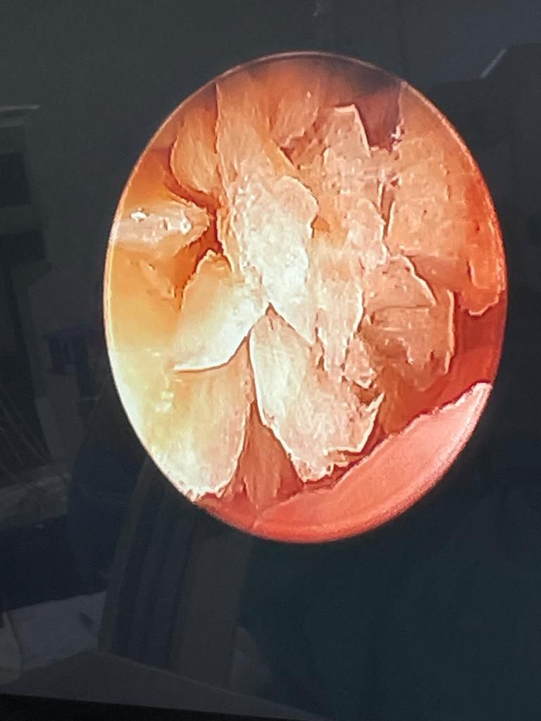 Saúl García Hernández-16