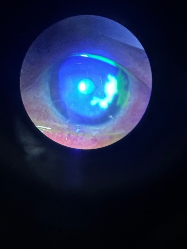 Ramiro Miguel Espinosa Estevez-13