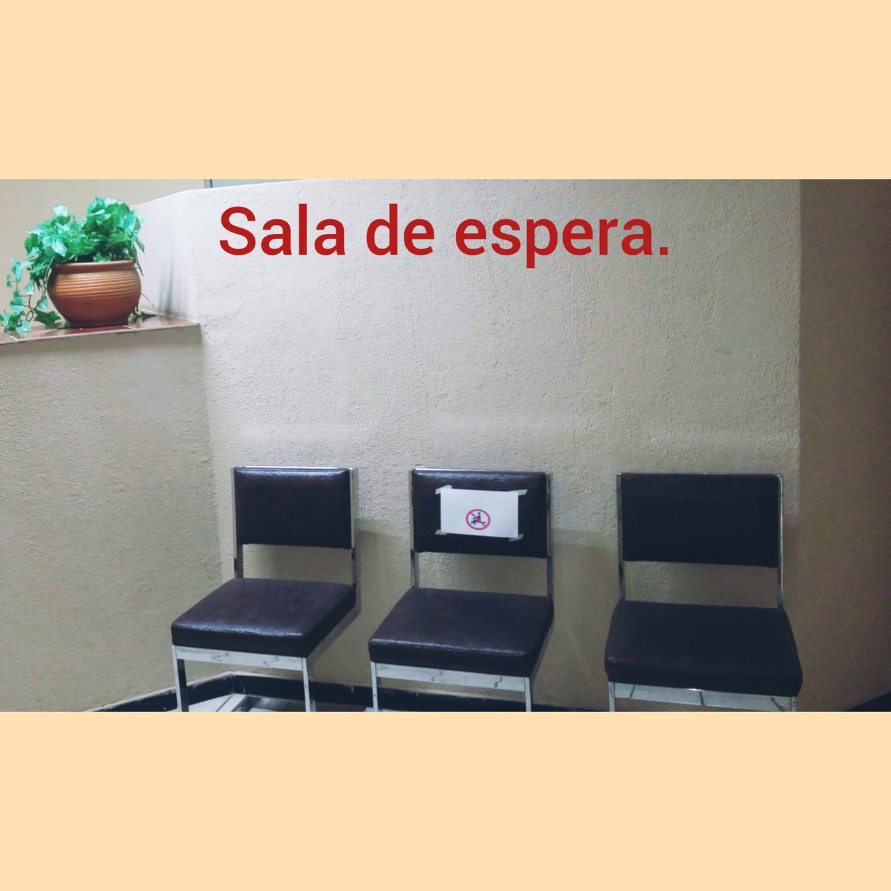 Olga María Mora Soto-5